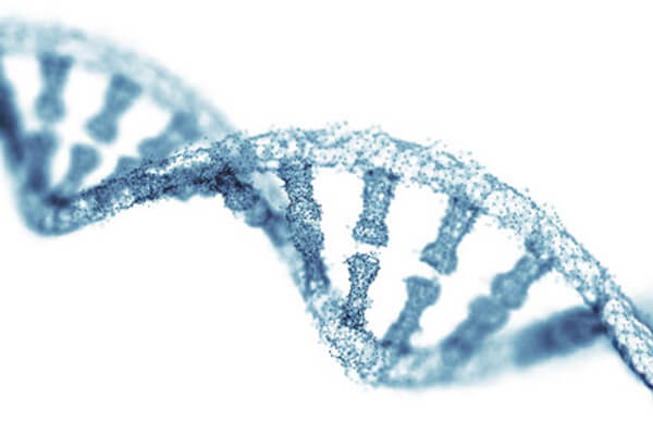Ausschnitt eines DNA-Strangs.